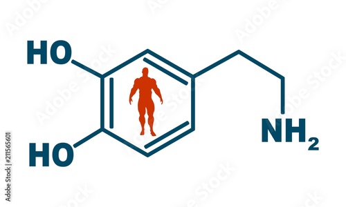 Chemical molecular formula hormone dopamine. Infographics illustration. Man silhouette