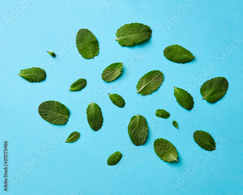 A set of different mint leaves on a blue background. Natural background. Flat lay