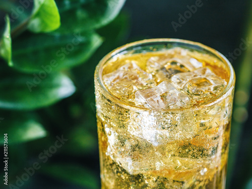 Photos Close-up of a fresh yellow sparkling drink with ice against green nature backgrounds