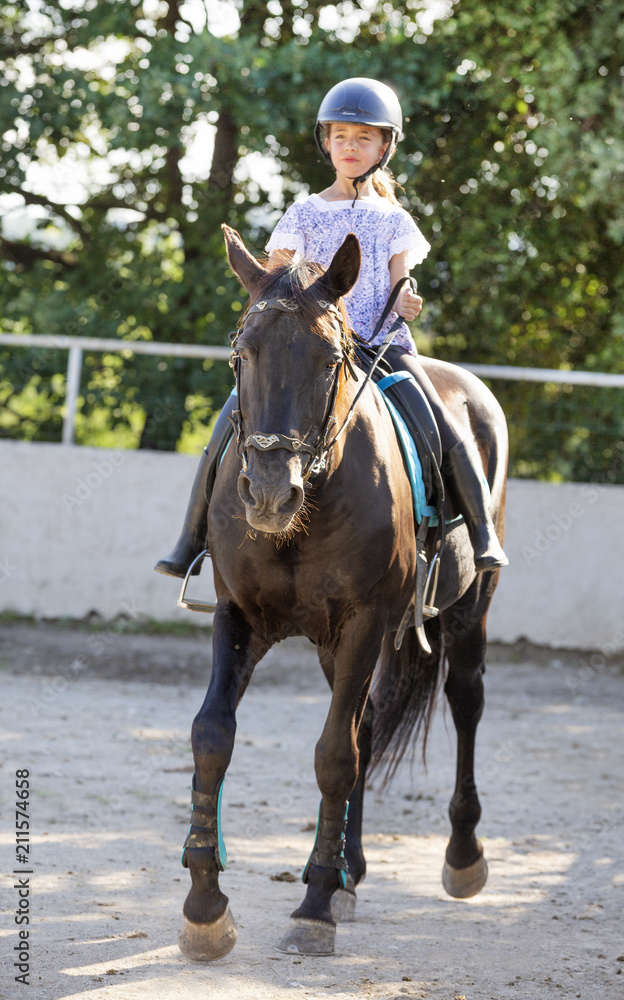 riding child and horse riding child and horse