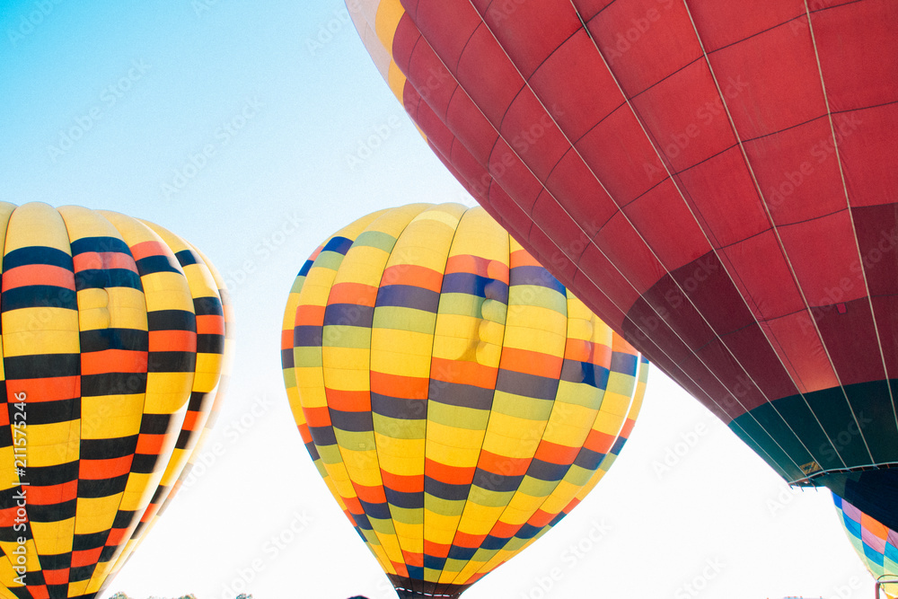 Fototapeta premium Hot Air Balloons