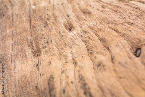 Wood textured background bark from phuket Thailand