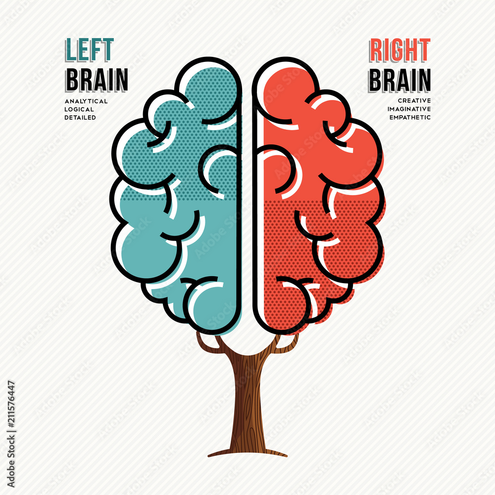 Human brain concept for right and left hemisphere Stock Vector | Adobe