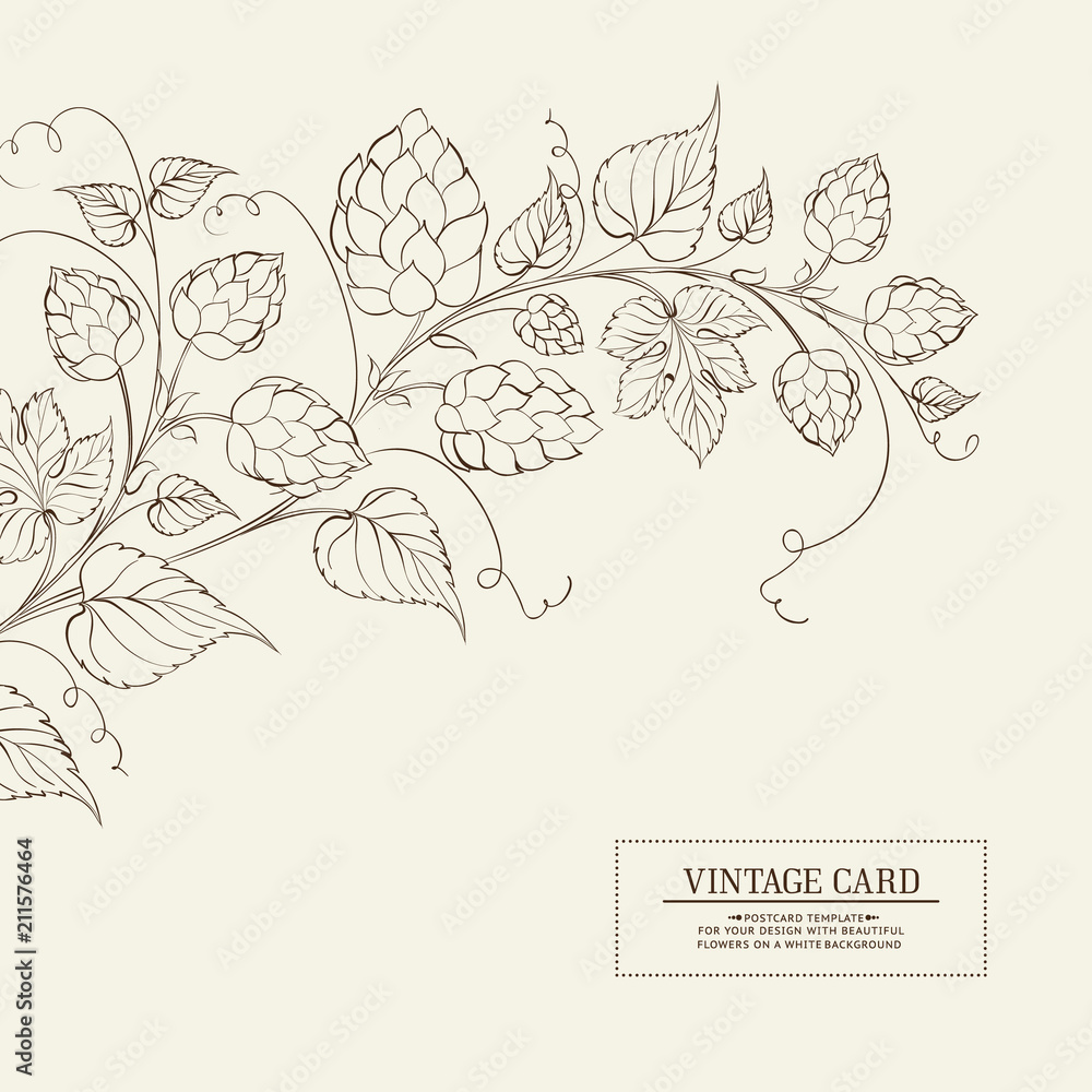 Vintage design for you personal cover. Beer hop engraving. Hop texture illustration in style of engraving. Vector illustration.