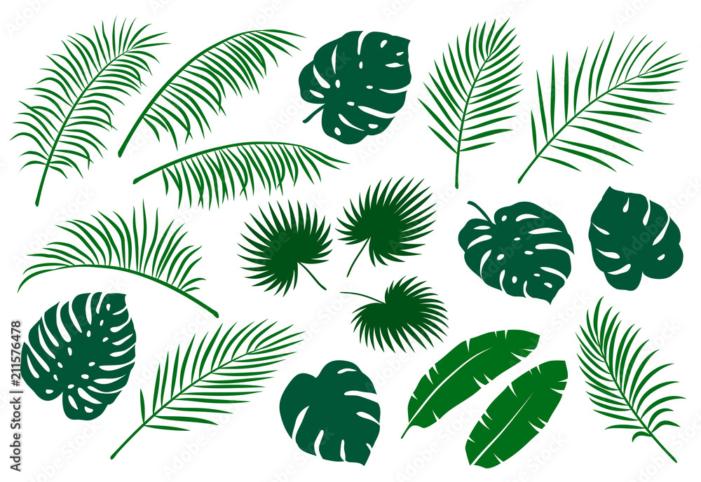 Naklejka premium zestaw zielonych liści palmowych