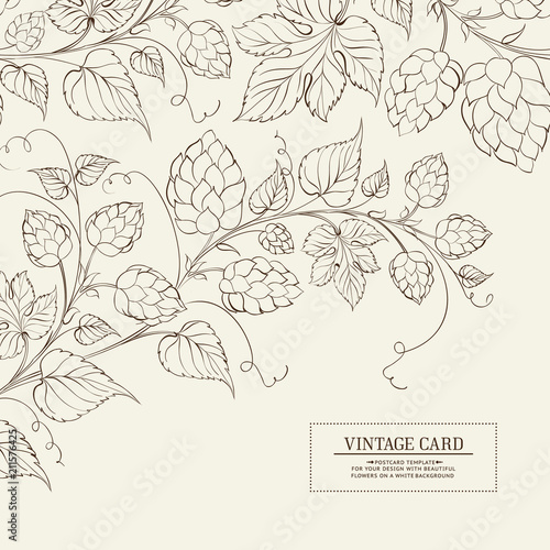 Vintage design for you personal cover. Alcohol theme for menu. Hop texture illustration in style of engraving. Vector illustration.