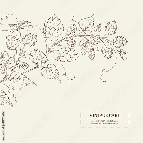 Vintage design for you personal cover. Beer hop engraving. Hop texture illustration in style of engraving. Vector illustration.