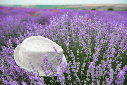 Fototapeta Naklejka Na Ścianę i Meble -  a hat is on the lavender flower bush, beautiful summer landscape with lavender flowers in the field