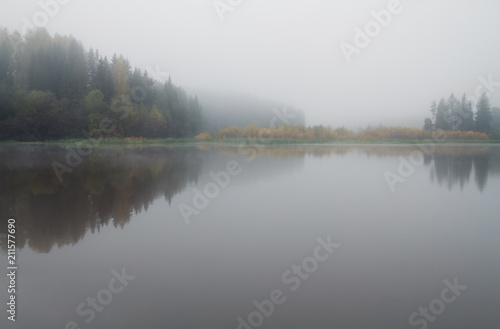 reflection of trees in the pond on a foggy morning
