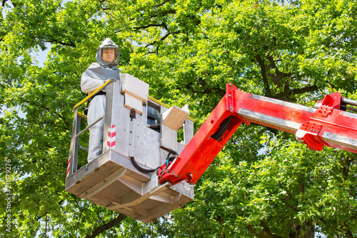 Man fighting oak procession caterpillars in aerial platform