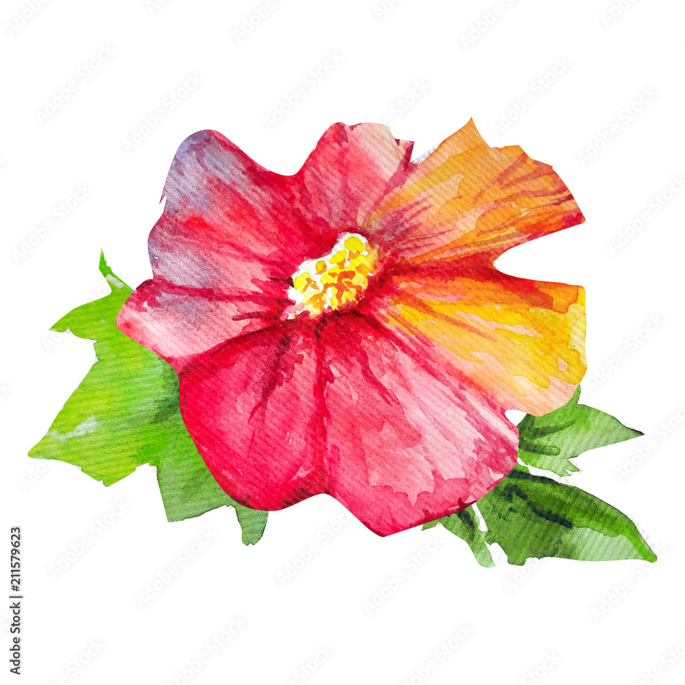 water color leaves water color leaves