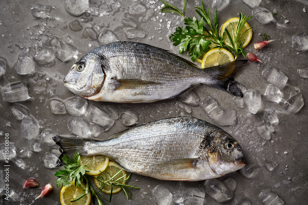 Fresh and raw fish, Dorada fish, sea bream, gilt-head (sea) bream  with ice, lemon and herbs on a grey stone background, top view. Seafood, fish