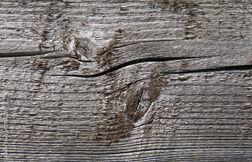 Wood pine texture. 