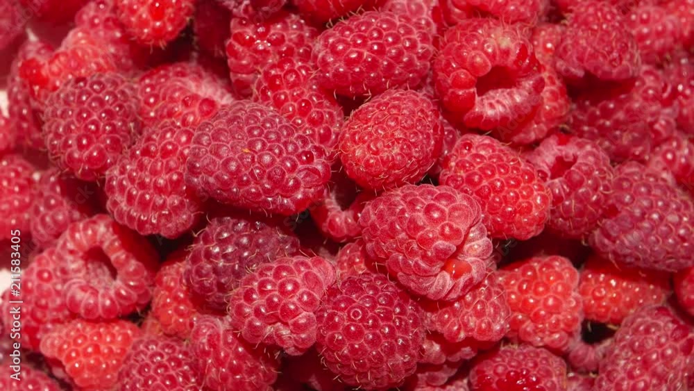 Berries of ripe large raspberry, background Berries of ripe large raspberry, background