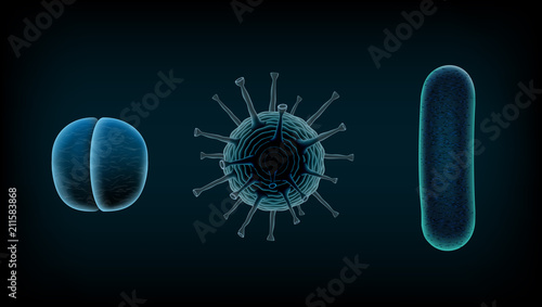 Common Human Virus Or Bacteria Under A Microscope Close Up