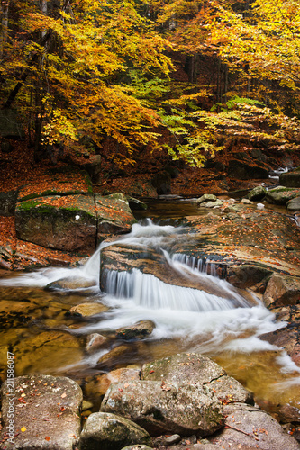 Mumlava Stream in Autumn Forest in Czechia