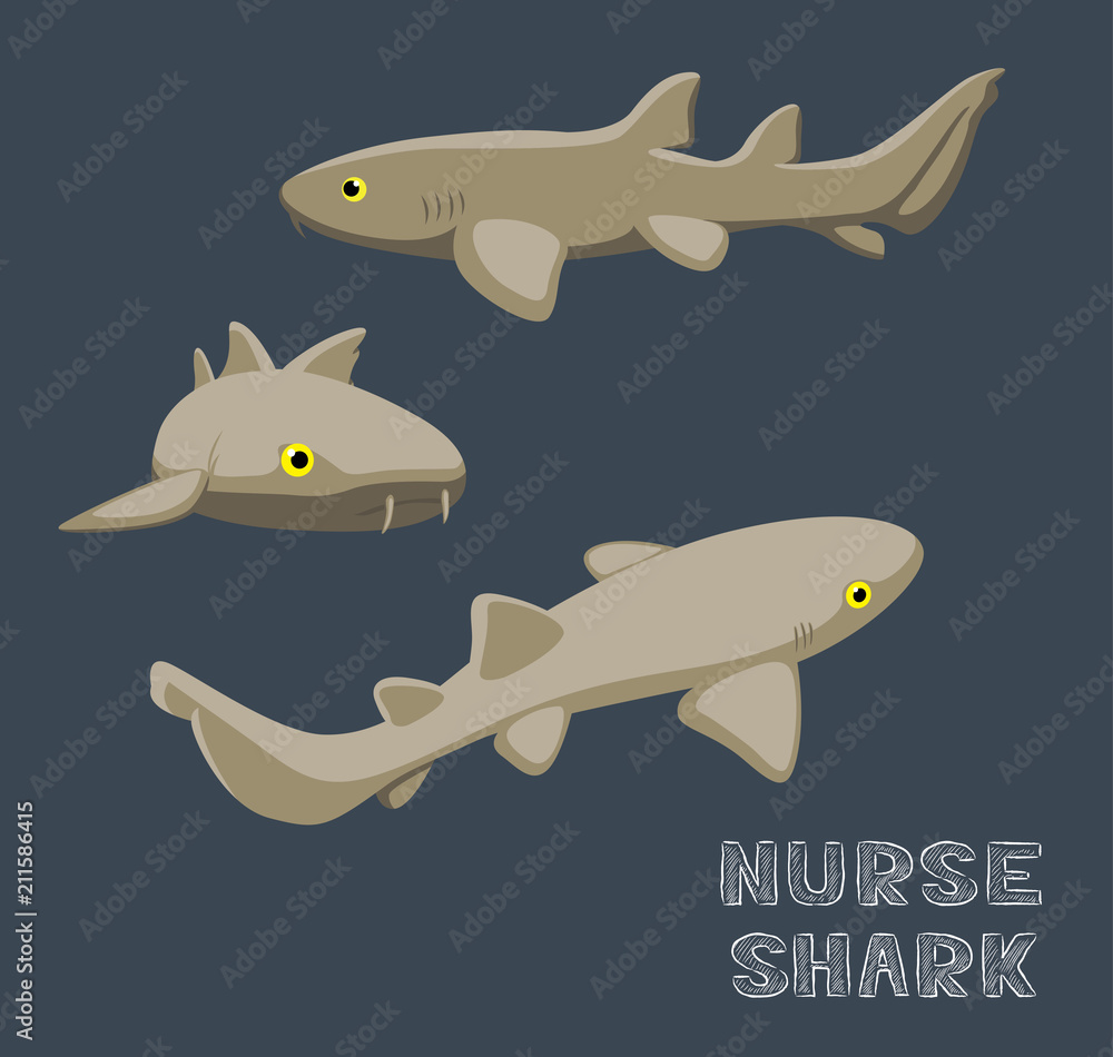 Fototapeta premium Nurse Shark Cartoon Vector Illustration