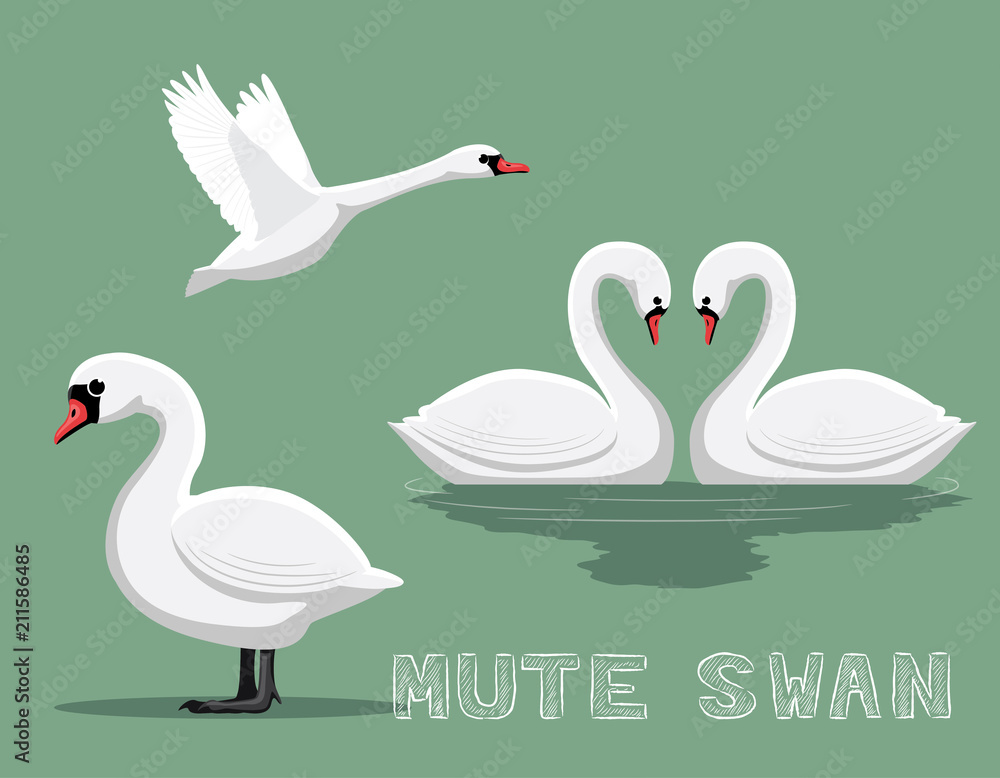 Mute Swan Cartoon Vector Illustration Stock Vector | Adobe Stock