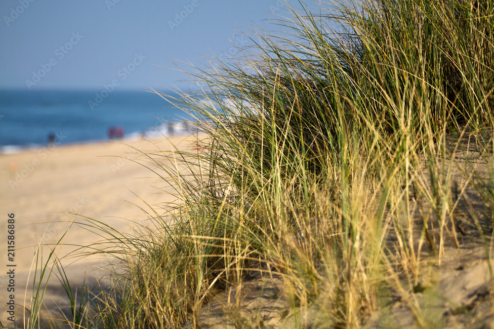 Strand, Dünen, niederländische Nordseeküste Strand, Dünen, niederländische Nordseeküste
