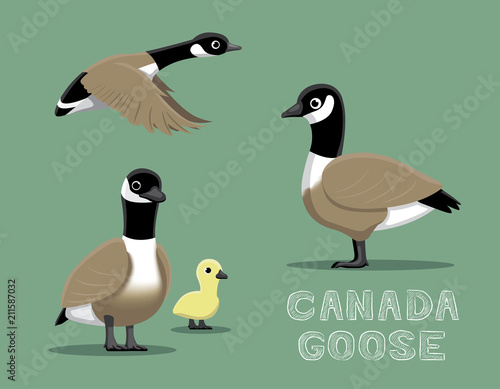 Canada Goose Cartoon Vector Illustration