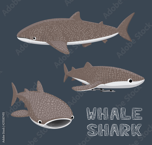 Whale Shark Cartoon Vector Illustration
