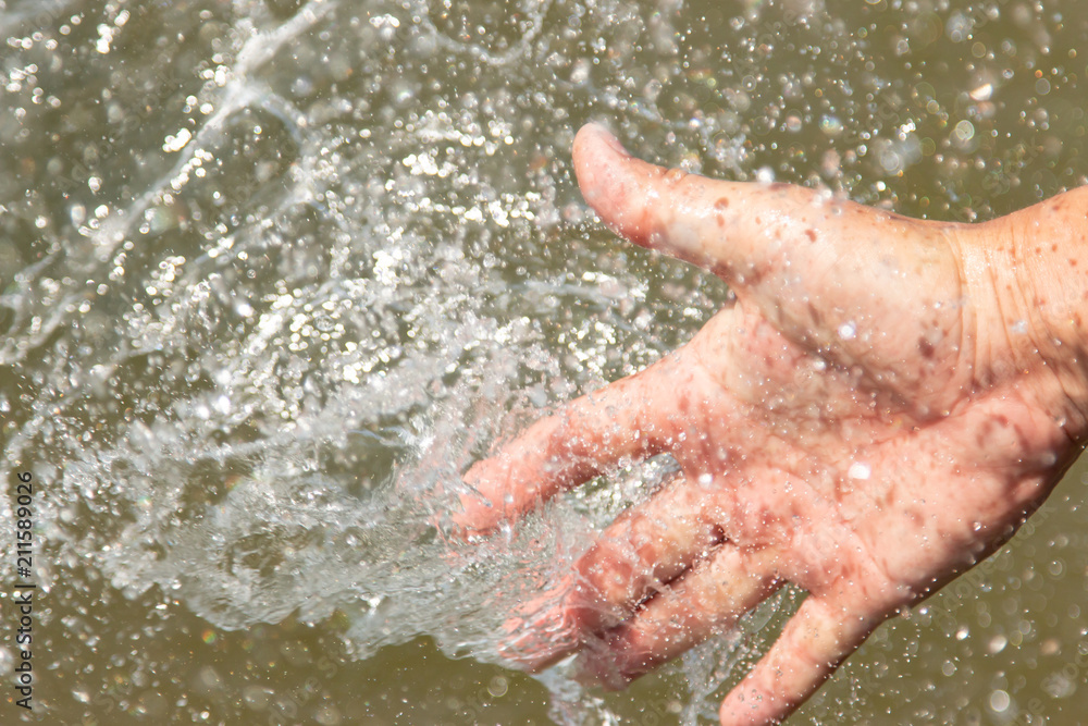 Fototapeta premium hand in water
