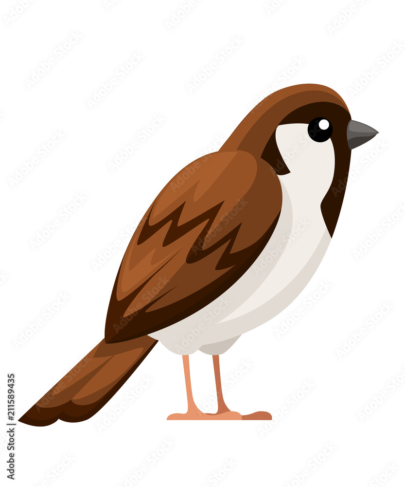 Fototapeta premium Sparrow bird. Flat cartoon character design. Colorful bird icon. Cute sparrow for world sparrow day. Vector illustration isolated on white background
