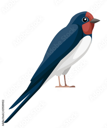 Swallow bird. Flat cartoon character design. Colorful bird icon. Cute swallow sit . Vector illustration isolated on white background