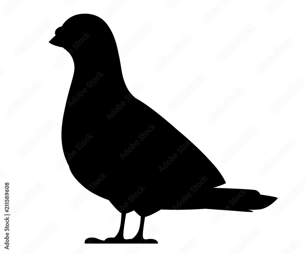 Fototapeta premium Black silhouette. Pigeon bird. Flat cartoon character design. Black bird icon. Cute pigeon template. Vector illustration isolated on white background