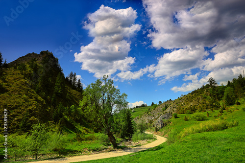 Fototapeta Naklejka Na Ścianę i Meble -  wiosna w Pieninach