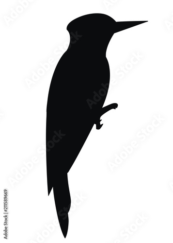 Photos Black silhouette
