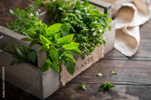 Mixed summer fresh herbs on rustic wooden background, copy space
