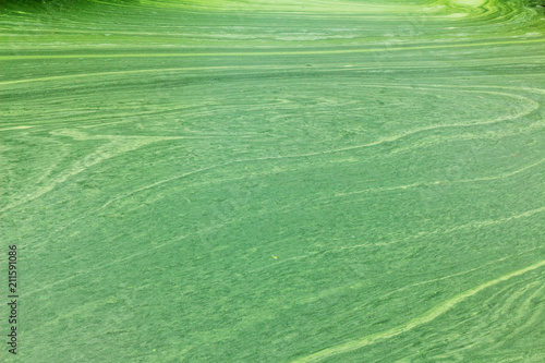 Algae swirl bright on water © AungMyo