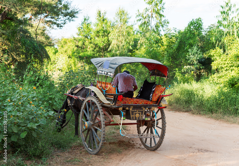 A cart on a rural road in Bagan, Myanmar. Copy space for text.