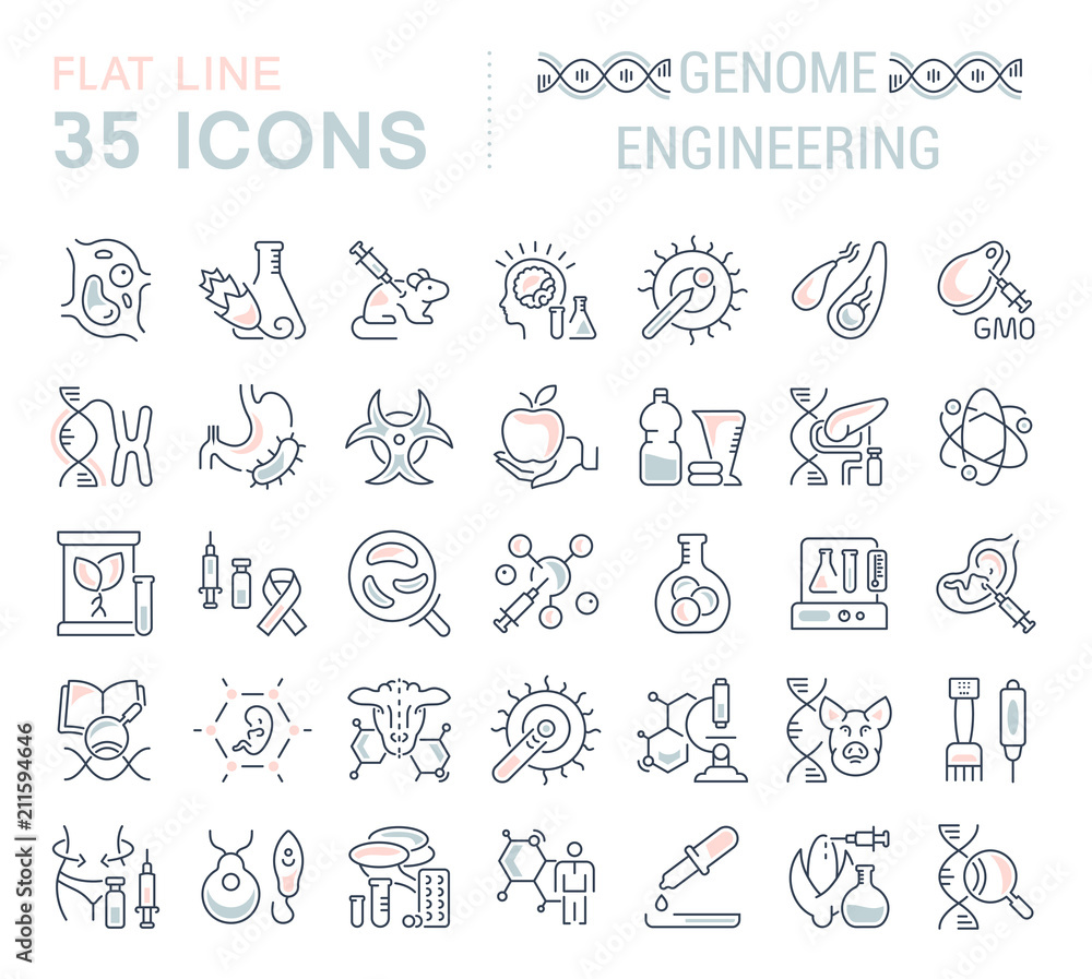 Set Vector Line Icons of Genome Engineering. Set Vector Line Icons of Genome Engineering.