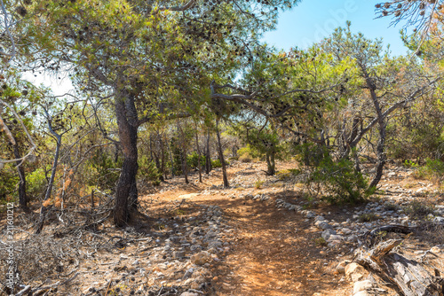 Hiking on Gavdos. Coastal trail to Kap Tripiti, the southernmost point of Europe