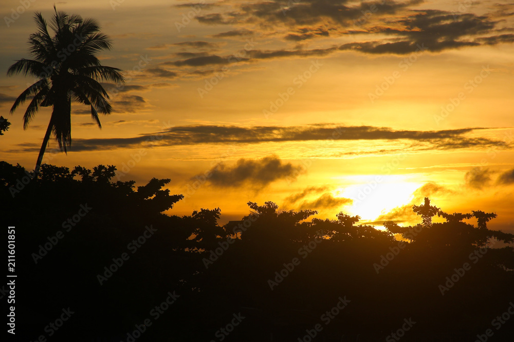 Lovely sunset with silhouettes of trees and palm tree standing out on orange sky background in Mabul Island, Borneo, Indonesia. Summer holidays concept, travel vacation destination