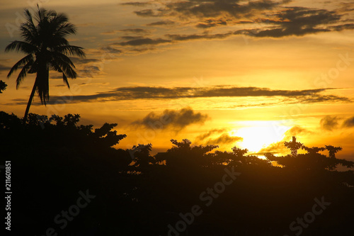 Lovely sunset with silhouettes of trees and palm tree standing out on orange sky background in Mabul Island, Borneo, Indonesia. Summer holidays concept, travel vacation destination