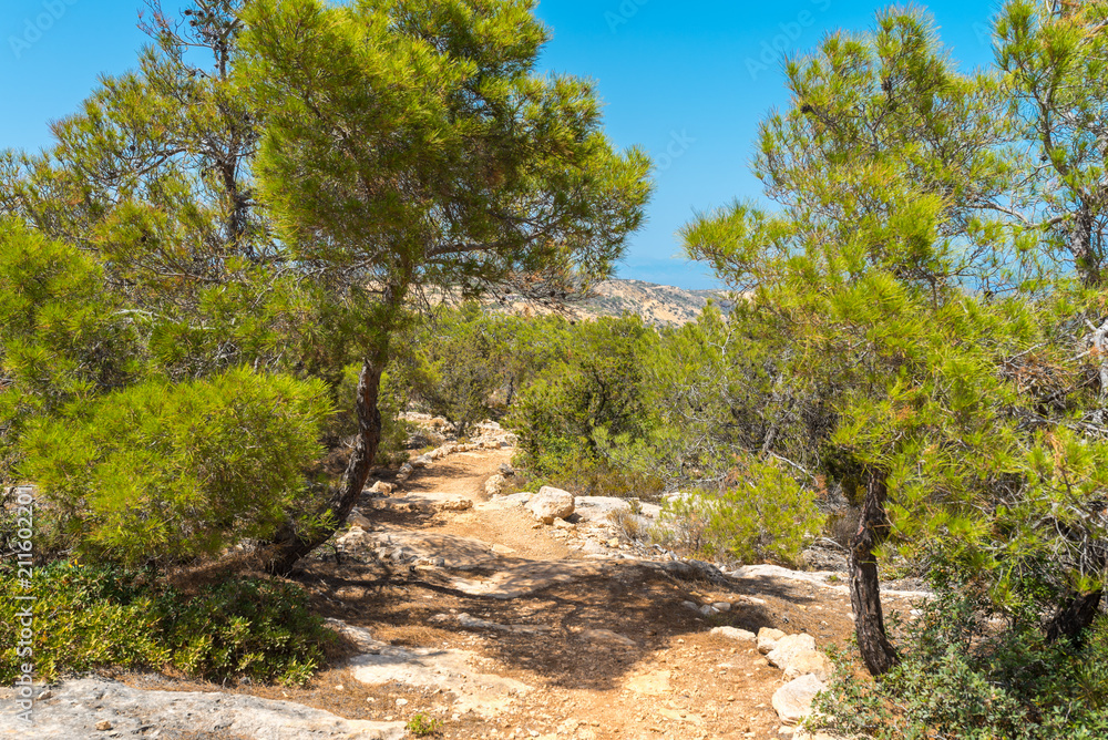Fototapeta premium Hiking on Gavdos. Coastal trail to Kap Tripiti, the southernmost point of Europe