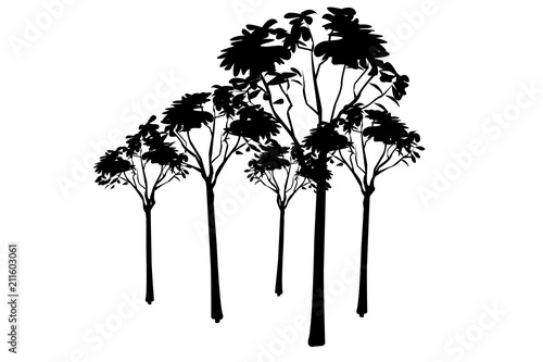 Siluetas negras de árboles.