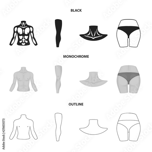 Torso, leg, neck and buttocks. Body parts set collection icons in black,monochrome,outline style vector symbol stock illustration web.