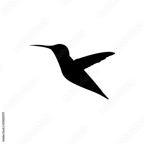 vector hummingbird silhouette