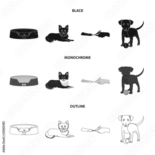 Lounger for a pet, clipping of claws in a vet clinic, lying dog, puppy with a ball. Vet clinic and pet,dog care set collection icons in black,monochrome,outline style vector symbol stock illustration
