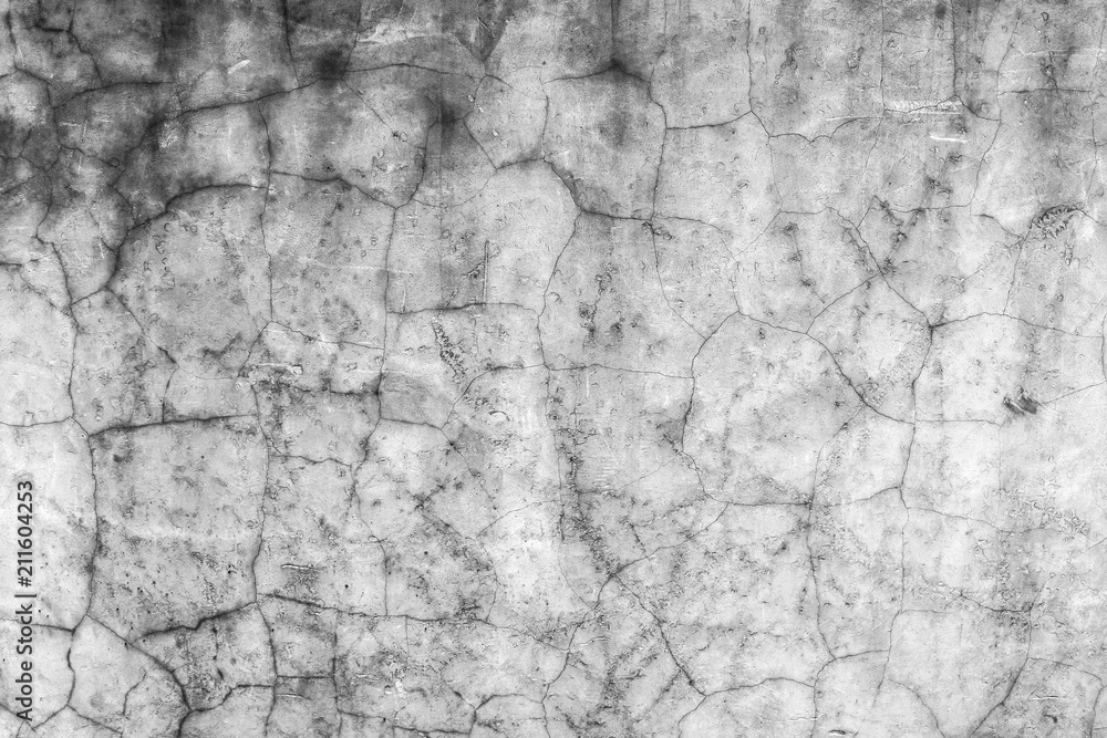 Obraz premium old cement wall