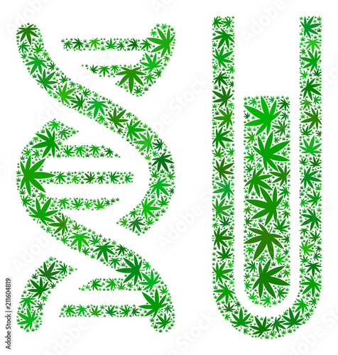 Genetic analysis collage of marijuana leaves in variable sizes and green tints. Vector flat marijuana symbols are grouped into genetic analysis illustration. Herbal vector illustration.