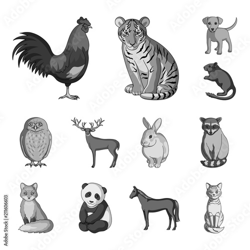 Realistic animals monochrome icons in set collection for design. Wild and domestic animals vector symbol stock web illustration.