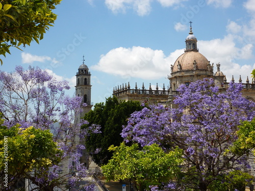 Cattedrale di Jerez de la Frontera photo