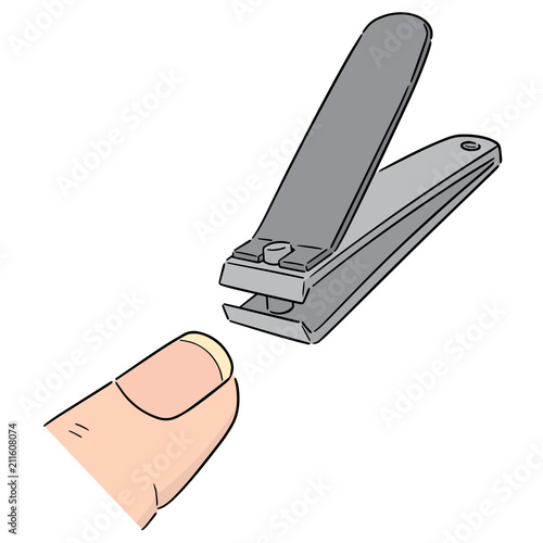 vector of nail clipper