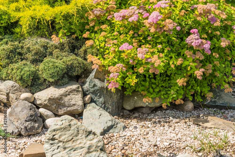 Element of landscape design - rockeries with mountain plants and stones