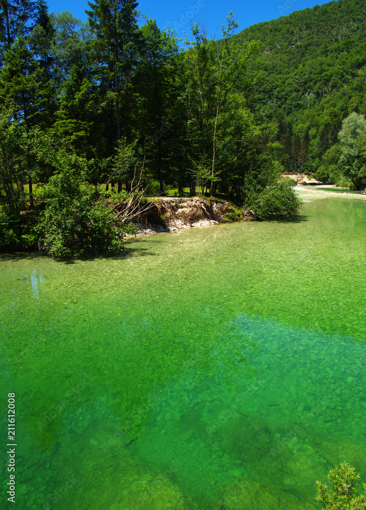 Obraz premium river with clear water